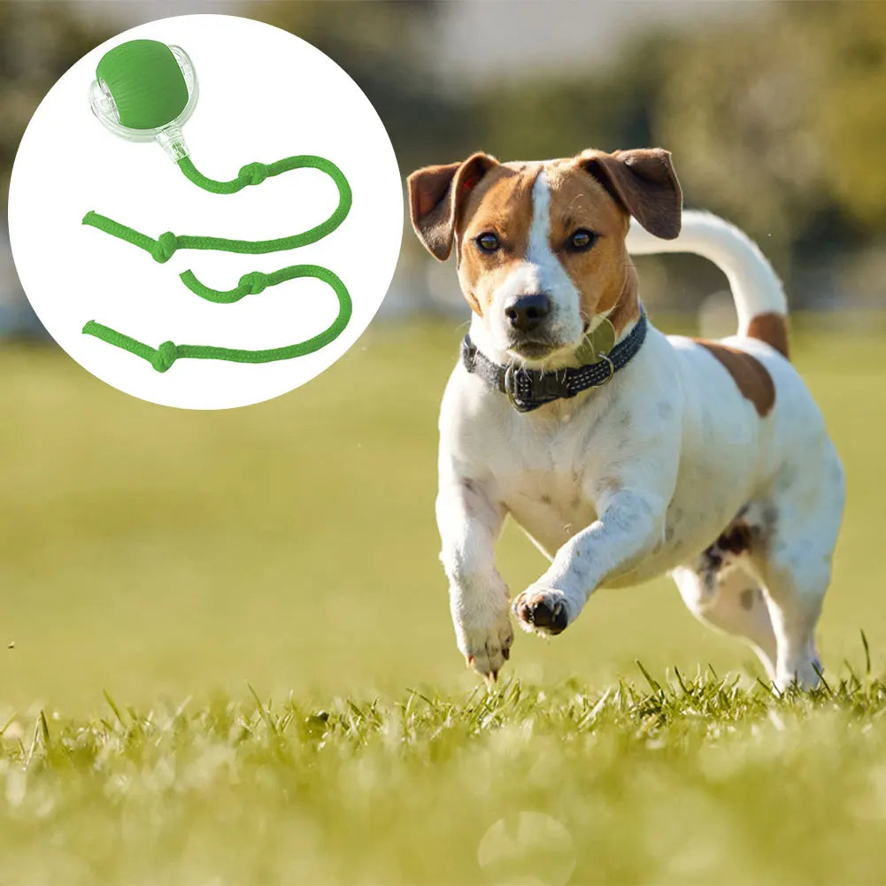 2025 Viral Rechargeable Cat Rolling Ball Toy - Automatic Interactive Self-Rotating Anti-Depression Dazzle