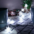 LED Star Fairy Lights Outdoor Chain Lights Garland Bulb String Lights Party Home Wedding Terrace Garden Christmas Decoration Dazzle Frenzy