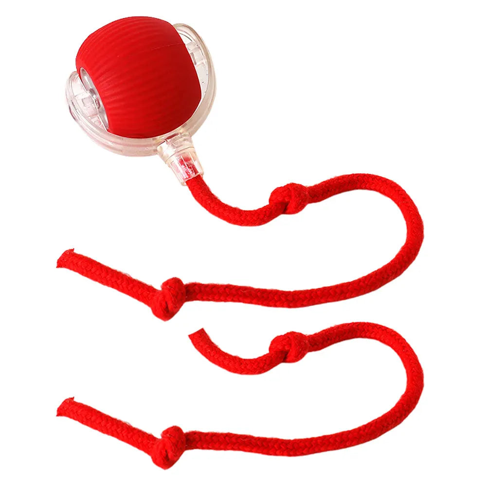 2025 Viral Rechargeable Cat Rolling Ball Toy - Automatic Interactive Self-Rotating Anti-Depression Dazzle