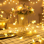 LED Star Fairy Lights Outdoor Chain Lights Garland Bulb String Lights Party Home Wedding Terrace Garden Christmas Decoration Dazzle Frenzy