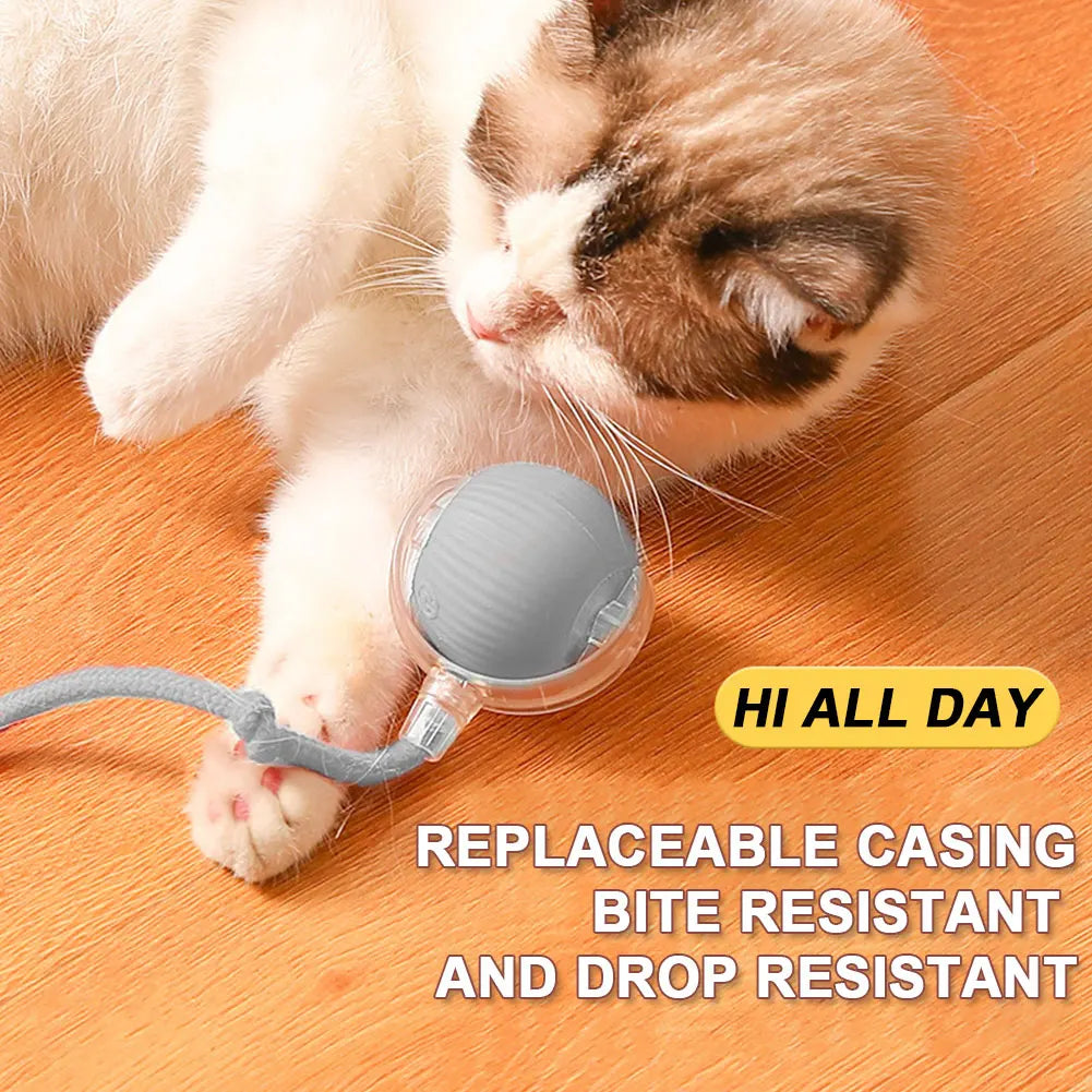2025 Viral Rechargeable Cat Rolling Ball Toy - Automatic Interactive Self-Rotating Anti-Depression Dazzle