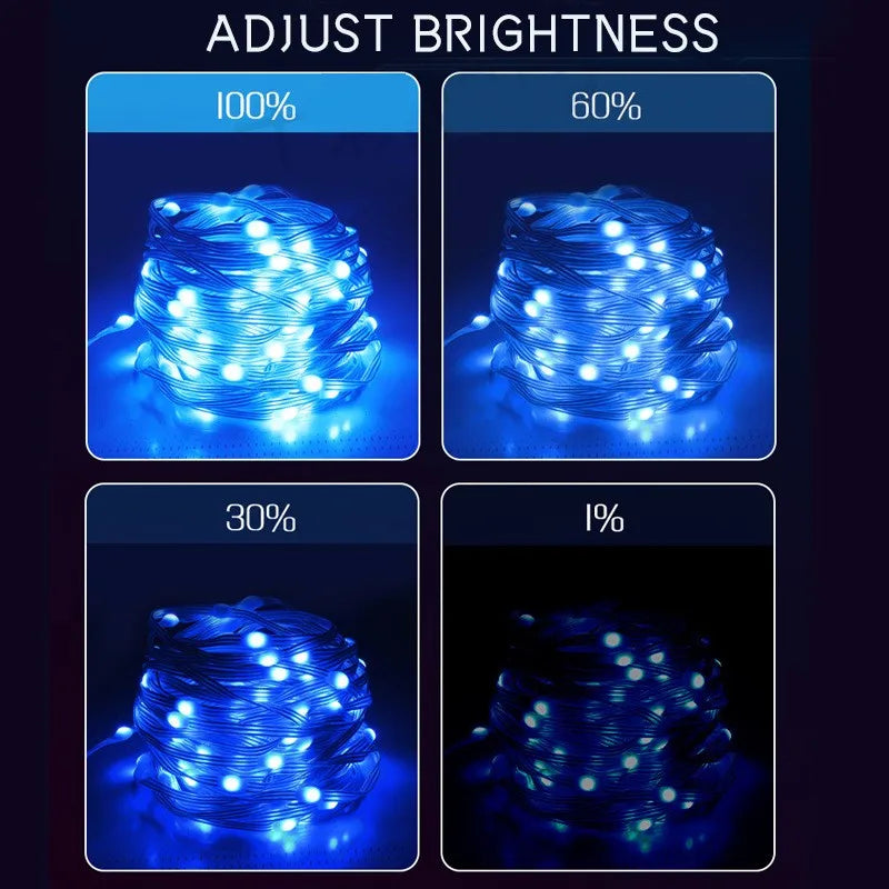 RGBIC USB LED String Lights DIY Outdoor Christmas Tree Decor Fairy Lights 8 Modes Bluetooth APP For Wedding Holiday Party Lighti Dazzle Frenzy